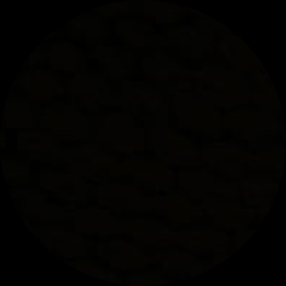 shanicejones34